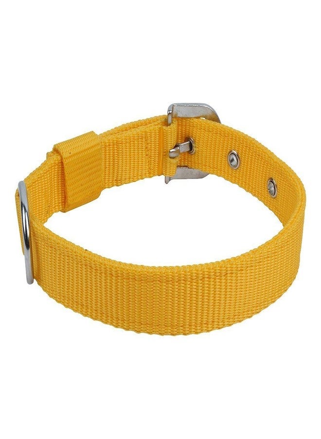 Sage Square Adjustable Double Strip Collar for Small Dog/Cat/Puppy/Kitten (Random Color) (1.5 Inches) - Image 2